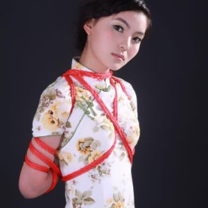 2011~2012年中国緊縛映像(静止画)合集