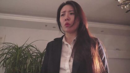 中国人妻 Ⅱ