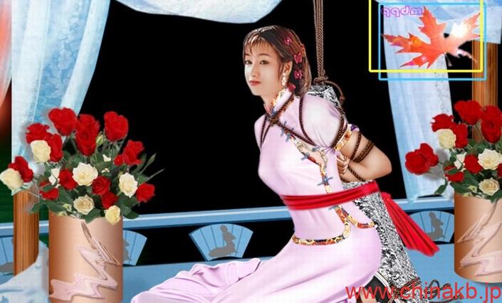 chinakb文学受賞作品 刹那芳华(中国原版+日本語通訳版)