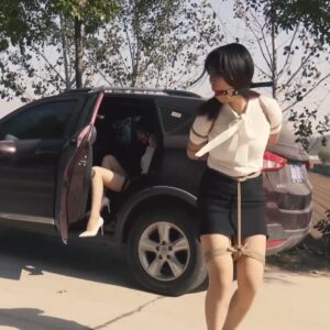 犯罪グループにもぐり込む者(下)