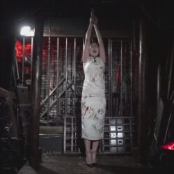 雨花石GIMP真実刑訊(Ⅲ)