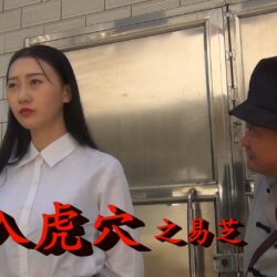 深入虎穴(易芝作品)