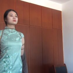 諜戦紅顔 (陳露作品)