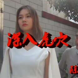 深入虎穴(陳露作品)